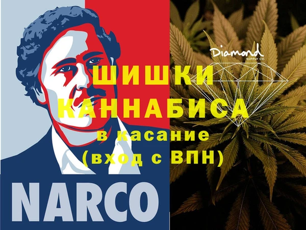 сатива Бронницы